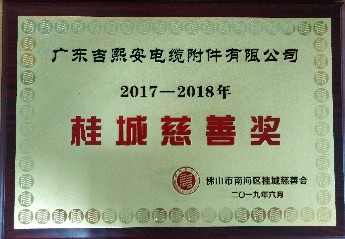 2017-2018桂城慈善奖